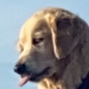 Meet your Posher, Kyla